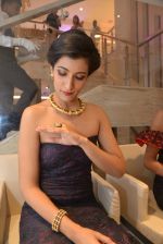 Lisa Mangaldas at Zoya store launch hosted by Nisha Jamwal in Mumbai on 15th May 2014